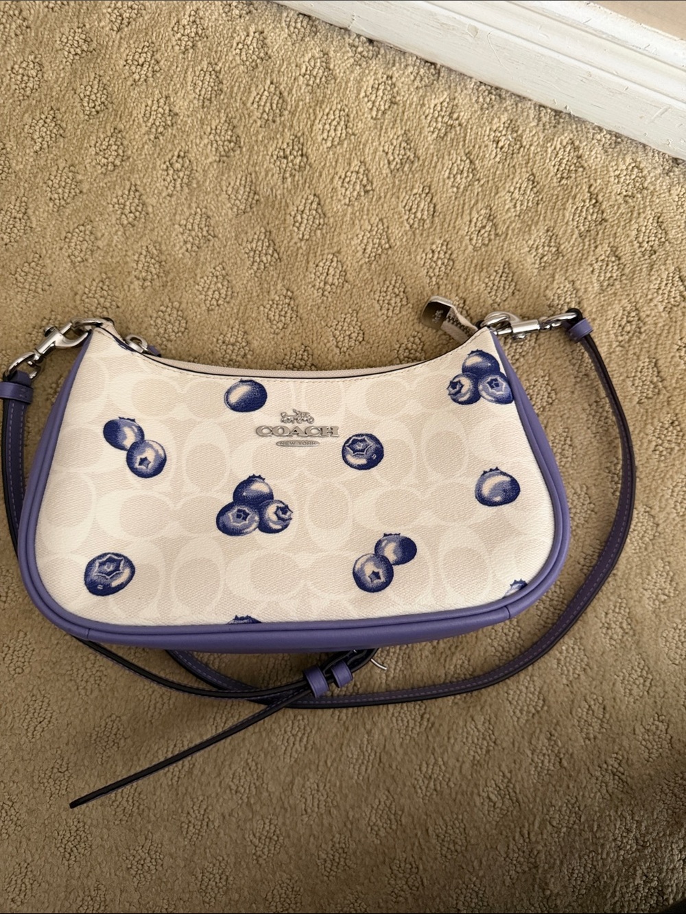 Coach White Canvas Mini Shoulder Bag with Blueberry Print and Lavender Trim